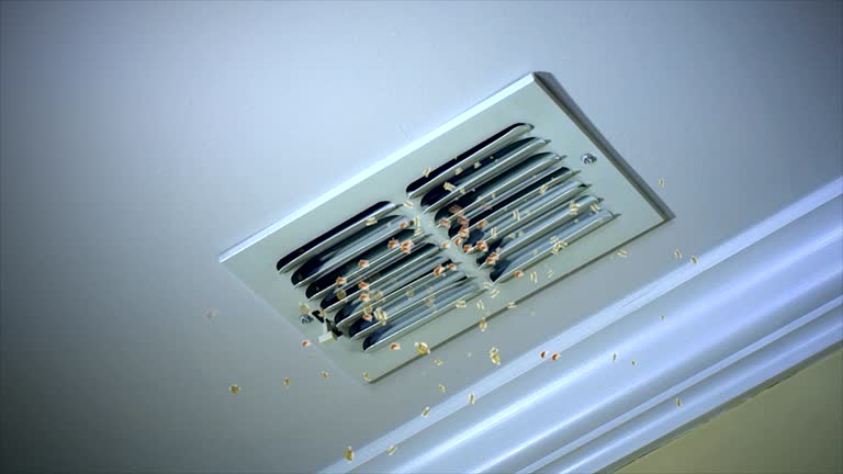 Best Local Air Duct Cleaning Services  in Burgaw, NC