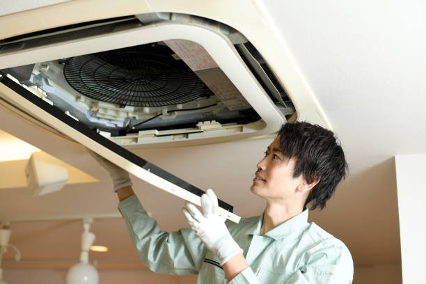 Best Home Air Vent Cleaning  in Burgaw, NC